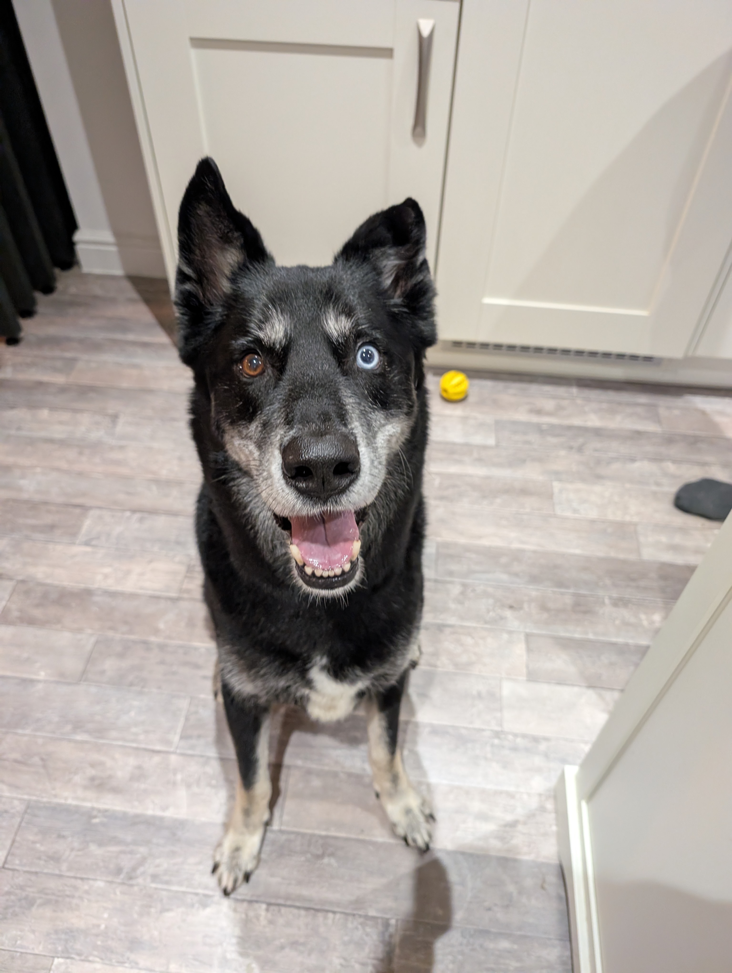 STORM - BERKS STORM - BERKS